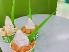 -Salud撒露欧洲冻酸奶(五道口购物中心店)