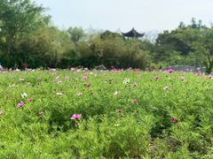 -韩湘水博园