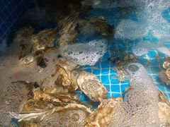 -良师门滨海人家·海鲜·家常菜(滨海城店)