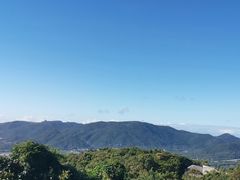-亚龙湾热带天堂森林公园