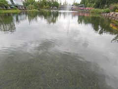 -成飞公园
