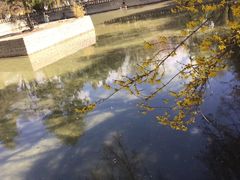 -罗布林卡