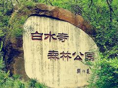 -白水寺森林公园