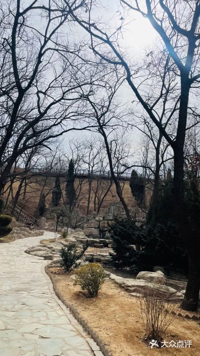 童牛岭风景区图片