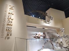 -国家自然博物馆