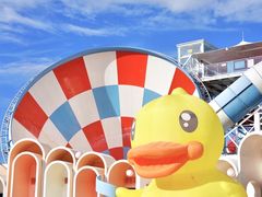 -巨鹏飞梦幻海岸