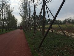 -白鹭湾湿地公园