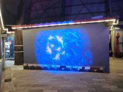 -枫花园汽车电影院(朝阳公园店)
