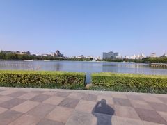 -莲花池公园