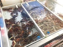 -南沙十九涌渔人码头-南门