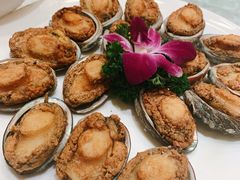 -沈阳玫瑰大酒店