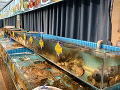 大堂-韩记海鲜饺子旗舰店(红海新区店)