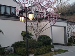 -雅达·阳羡溪山小镇中心