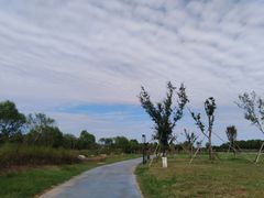 -春花秋色城市公园