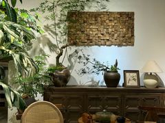 -自由生长植物工作室(深港花卉中心店)