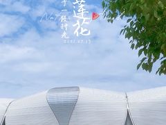 -杭州奥体中心-体育场