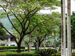 -石梅湾艾美度假酒店