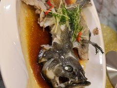 -寻味顺德·南记酒家·传统顺德菜·鱼生(广源路店)