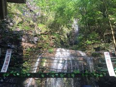 -藏龙百瀑风景区