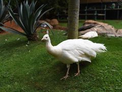 -昆明动物园