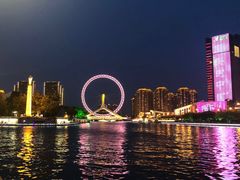 -美联众合宠物医院·爱萌分院·内外科·猫科中心