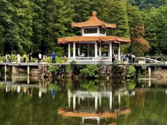 -深圳仙湖植物园