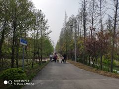 -上海长兴岛郊野公园