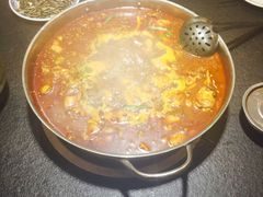 -红顶老汉烧鸡公羊蝎子火锅(学士街店)