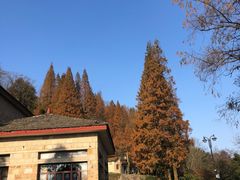 -莫干山风景区