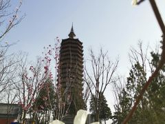 -西海子公园
