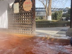 -春晖园度假酒店温泉