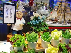 有机蔬菜-乔哥铭洋海鲜自助(皇城恒隆广场店)