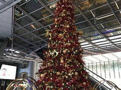 -汇丰银行（中国）（华打街支行）(中环分行)