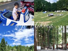 -武陵山森林公园