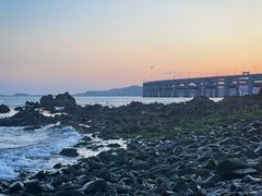 -星海湾跨海大桥