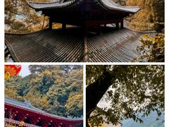 -飞霞风景名胜区