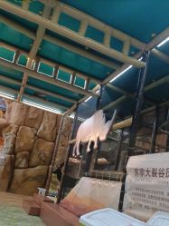 -卡通尼·Safari非洲探索乐园·生日会(金桥国际商业广场店)