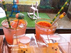 -柴犬高等学院·狗咖·柴犬售卖·宠物训练