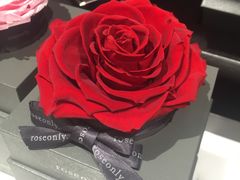 -ROSEONLY诺誓(磐基中心店)