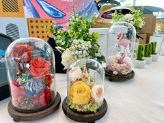 -南充通源宝马4S店(高坪店)