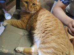 -小时光咖啡馆(开森度假森林店)