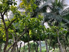 -石梅湾艾美度假酒店