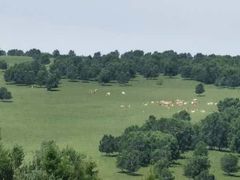 -塞罕坝国家级自然保护区