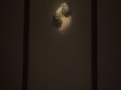 -Dragonfly悠庭·按摩Spa(静安嘉里中心店)