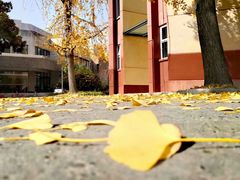 -西南交通大学(九里校区)