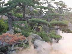 -罗红摄影艺术馆