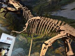 -自贡恐龙博物馆