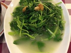 红色江山11-红色江山(首钢国际大厦店)