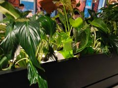 -管氏翅吧(台湾街店)