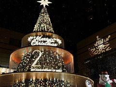 -君悦酒店·La Terrazza意合園·意式风味